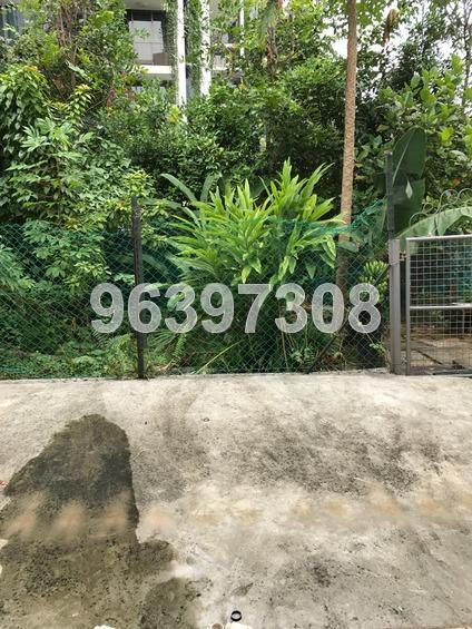 Tai Peng Gardens (D19), Semi-Detached #169583412